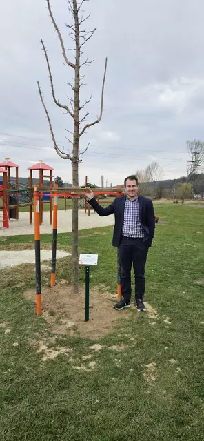 Bürgermeister Christoph Krutzler mit dem Jubiläumsbaum | Foto: Gemeinde Wiesfleck