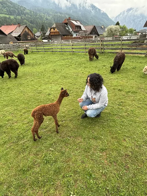 Michelle Kaufmann ist stolz auf ihre Tiere am Alpakahof in Tragöß.