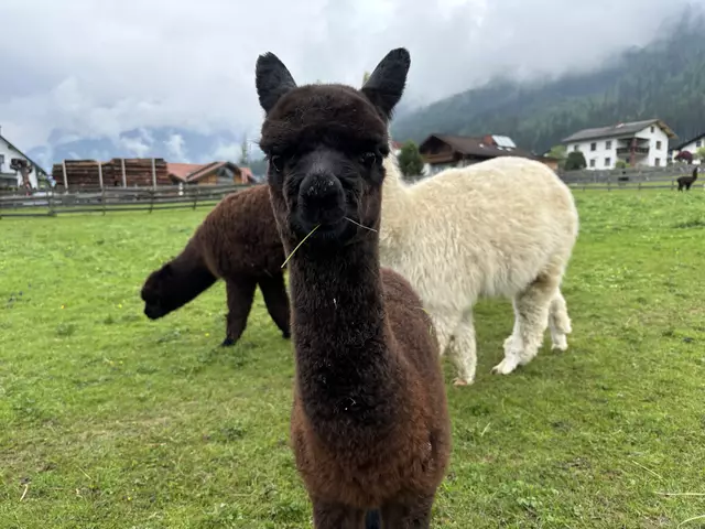 Eines der sieben Babys, das in den letzten Wochen das Licht der Welt erblickt hat.