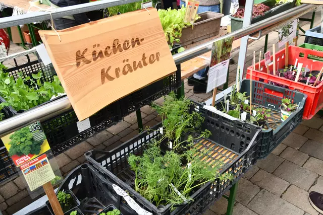 Foto: Erika Ganglberger