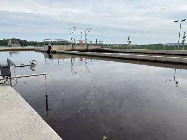 Foto: Stefan Schneider