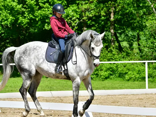 Emma (12) reitet bereits auf einem Großpferd