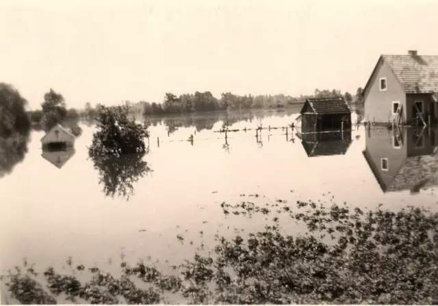 Die Flutkatastrophe 1954 war die schwerste im 20. Jahrhundert in Österreich. | Foto: Heimatverein St. Georgen/Fotorepro Eckhart Herbe