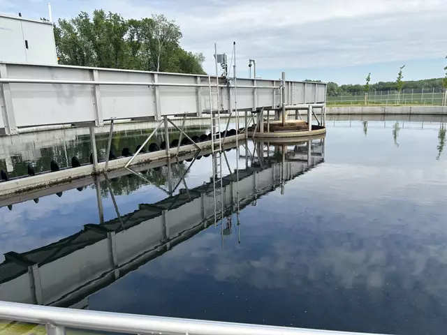 Foto: Stefan Schneider