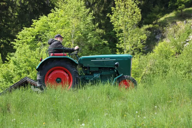 Foto: F. Außerhofer