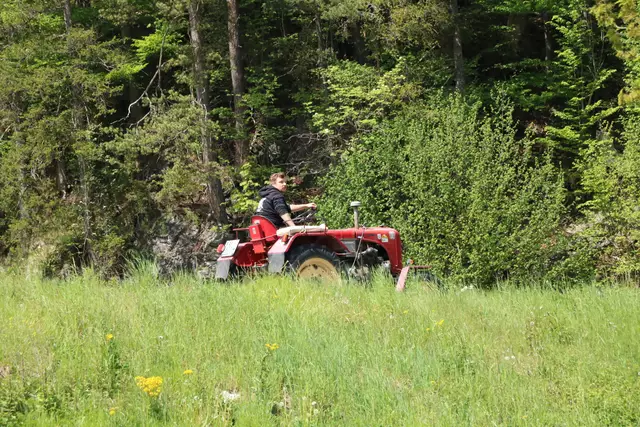 Foto: F. Außerhofer