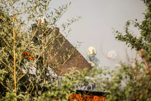 Foto: TEAM FOTOKERSCHI / TOBIAS SCHARTNER