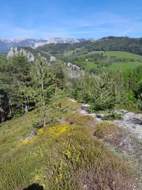 Aussicht vom Blickplatz "20 Schilling Blick"