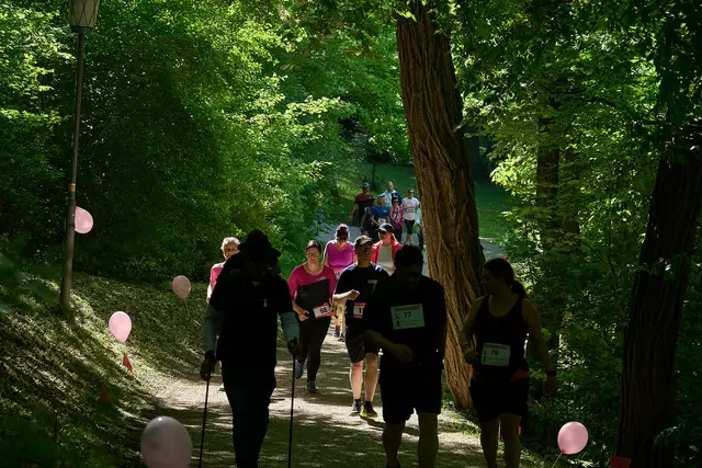 Foto: Fotos Holnsteiner