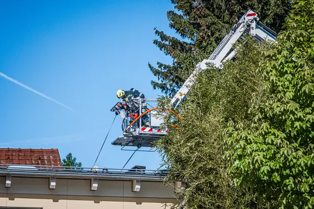 Foto: TEAM FOTOKERSCHI / TOBIAS SCHARTNER