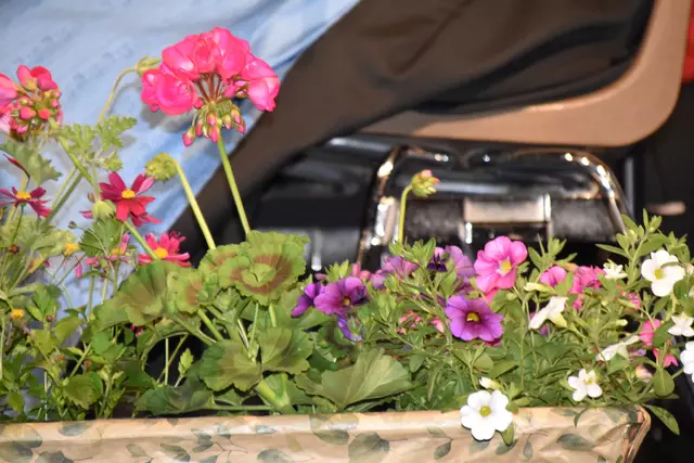 Foto: Michael Strini