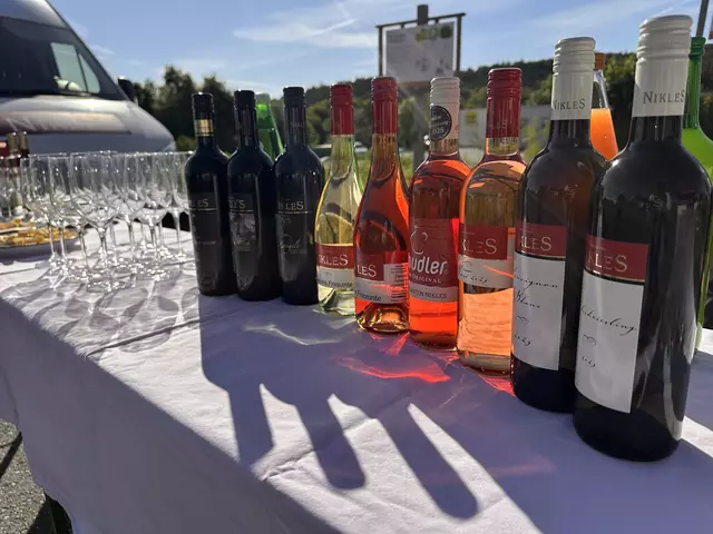 Es standen die verschiedensten Weine für Kostproben zur Verfügung  | Foto: Lisa Stöckl 