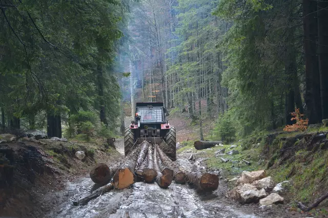 Der Traktor zieht die Baumstämme. (Symbolbild) | Foto: stock.adobe.com/at/remus20
