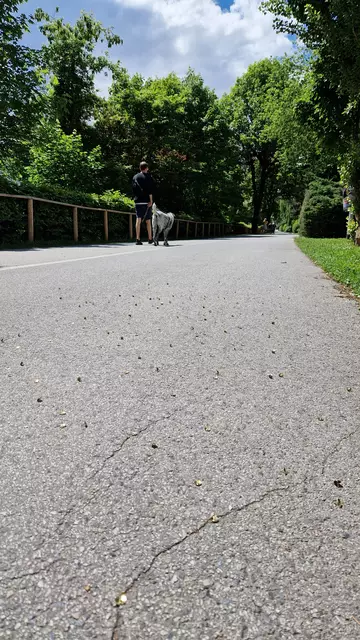 Reisszwecken verteilt am Fahrradweg beim Mariahilfpark. | Foto: Königer