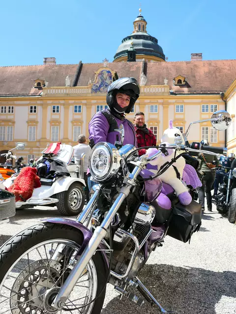 Sabine Stöhr aus Zelking ist mit Einhorn 'Lilly' unterwegs | Foto: Gerlinde Siebenhandl