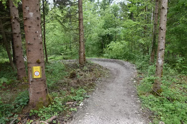 Foto: Bikepark Bettelwurf/Kendlbacher