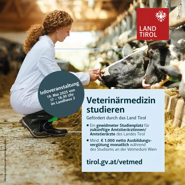 Bei der Infoveranstaltung am 19. Mai im Landhaus 2 können Interessierte sich unverbindlich über den gewidmeten Studienplatz in der Veterinärmedizin informieren. | Foto:  Land Tirol/Shutterstock.com