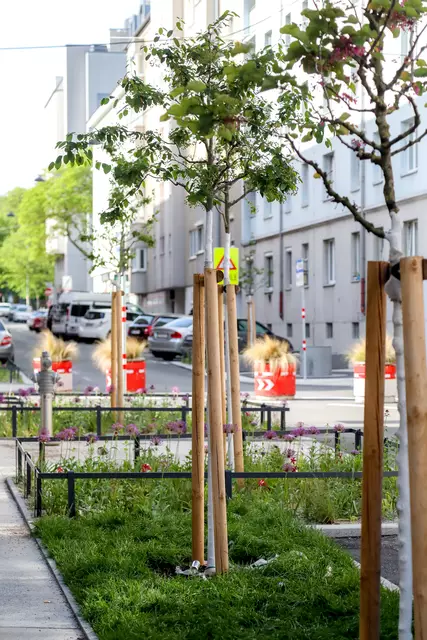 Foto: MA 28 / Christian Fürthner