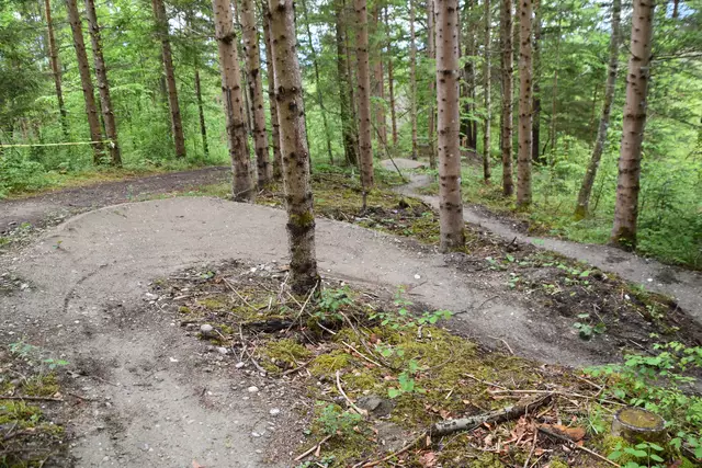 Foto: Bikepark Bettelwurf/Kendlbacher