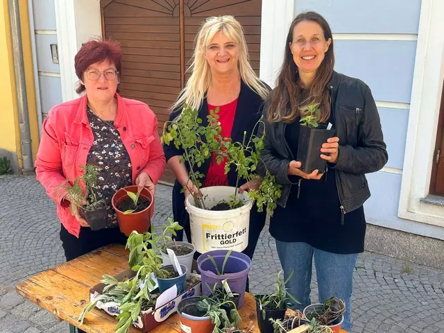 Sonja Dundler, Hilde Juricka, Birgit Gruber fungierten als Organisationsteam. | Foto: Gesunde Gemeinde