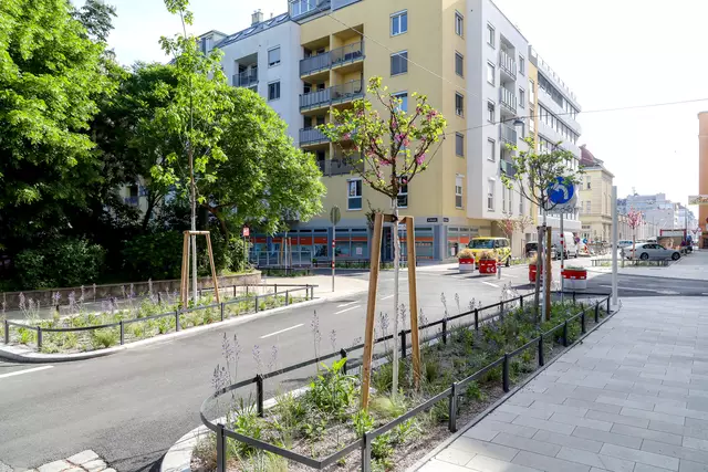 Im Supergrätzl Favoriten wurden bereits in der ersten Phase Bäume gepflanzt. Rund um die Mittelschule sollen es 66 weitere dazu kommen. | Foto: MA 28 / Christian Fürthner