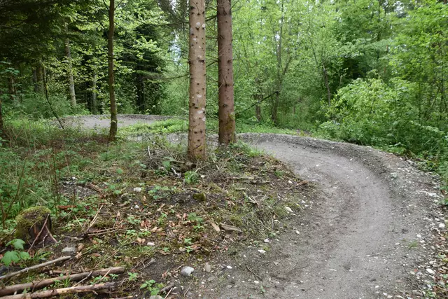 Foto: Bikepark Bettelwurf/Kendlbacher