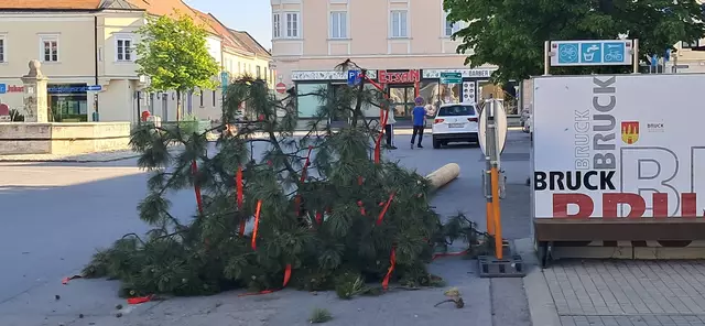 Der Maibaum von Bruck an der Leitha wurde in der Nacht unbemerkt umgeschnitten. | Foto: E. Kroupa