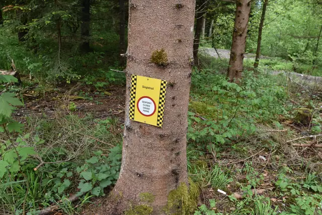 Foto: Bikepark Bettelwurf/Kendlbacher