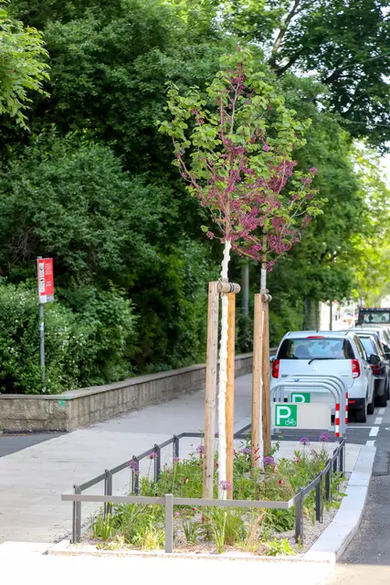 Foto: MA 28 / Christian Fürthner