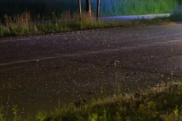 In Wels-Lichtenegg verlor ein Lenker die Kontrolle über seinen Ford-Galaxy, schoss über den Kreisverkehr der Noitzmühlstraße und blieb mit dem Pkw auf der Seite liegen. | Foto: laumat.at