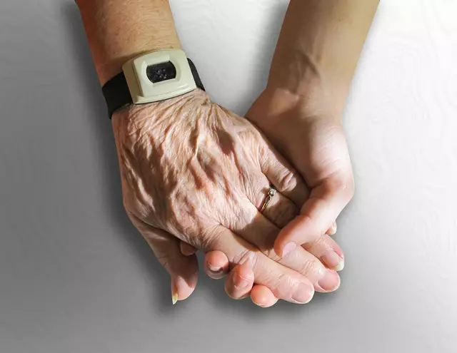 Der Besuch von Gerhard Dafert, Personalvorstand der Niederösterreichischen Landesgesundheitsagentur, im Pflege- und Betreuungszentrum Eggenburg stand ganz im Zeichen der Anerkennung. (Symbolfoto) | Foto: Pixabay/PublicDomainPictures