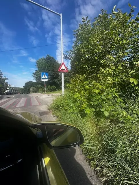 Hohes Gras verhindert die Sicht der Verkehrsteilnehmer auf den Schutzweg.  | Foto:  Frank