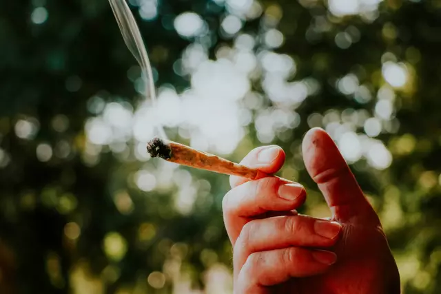 Der Konsum von Cannabis ist in den letzten Jahren stetig gestiegen, in Bezug auf die geltenden Grenzwerte im Straßenverkehr ortet eine Initiative Ungerechtigkeiten und fordert eine gesetzliche Anpassung.  | Foto: Unsplash/Elsa Olofsson