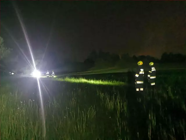 Am Bild zu sehen: Suchaktion nach dem Kalb. | Foto: Feuerwehr Altendorf Gemeinde Sittersdorf
