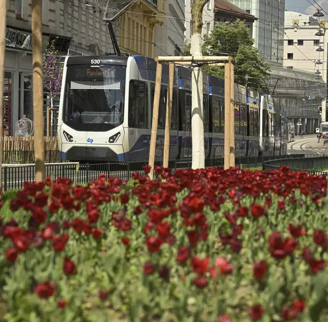 Die Baustelle in der Wiedner Hauptstraße schadete den Fahrgastzahlen der Badner Bahn nicht.  | Foto: Wiener Lokalbahnen GmbH