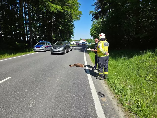 Aufgrund eines Wildwechsels kollidierten zwei Fahrzeuge miteinander wobei ein PKW auf der Straßenböschung zum Stillstand kam. | Foto: FF Weistrach