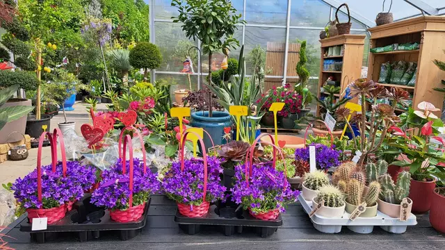 Ob es um die richtige Gartenpflege, Bodenverbesserung oder Pflanzenschutz geht – die Gartenwelt Mayer teilt ihr umfangreiches Wissen gerne mit ihren Kunden.  | Foto: Gartenwelt Mayer