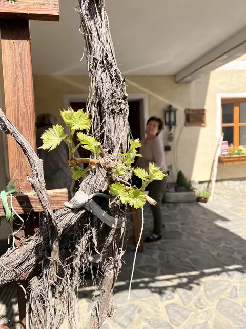 Foto: Elisabeth Egle