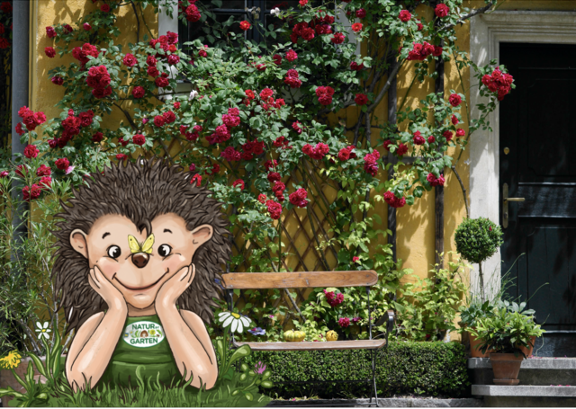 Lass Schattenspender klettern. Sie "kühlen" die Umgebung und sehen wunderschön aus. | Foto:  „Natur im Garten“ / M. Benes-Oeller