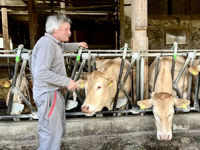 Bernhard Hirn mit seiner Lieblingskuh.  | Foto: Elisabeth Egle