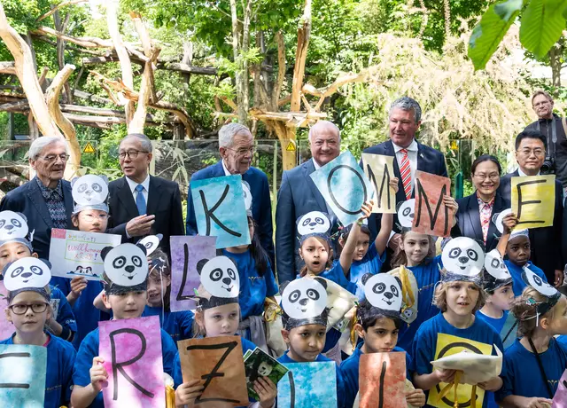 Im Tiergarten Schönbrunn wurde das Panda-Paar „Lan Yun“ und „He Feng“ begrüßt. | Foto: Valentina Marinelić/MeinBezirk