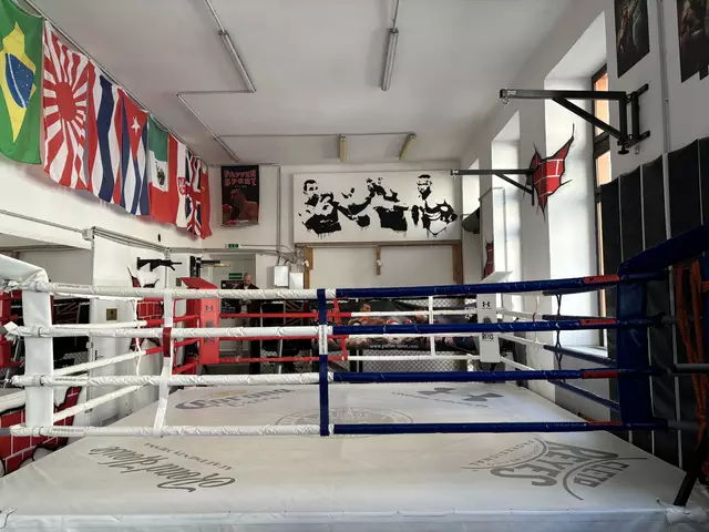 An der Stelle, wo früher eine Werkstatt war, baute Pfingstl einen Boxclub auf. | Foto: Luca Arztmann/MeinBezirk