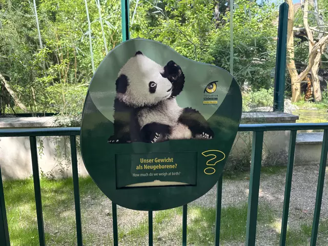 Foto: Barbara Schuster/MeinBezirk