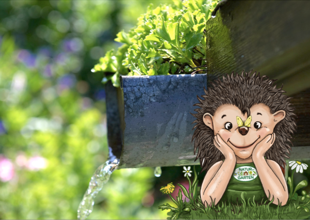 Regenwasser clever nutzen – das spart Geld, schonst die natürlichen Ressourcen und Pflanzen lieben es. | Foto: „Natur im Garten“ / A. Haiden