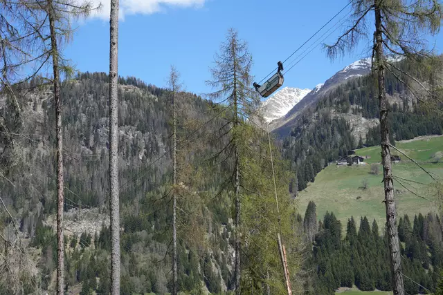 Der Laufwagen des Kraftwerks im Forst fährt mit den tonnenschweren Bäumen ins Tal, dabei entsteht Energie durch Rekuperation. | Foto: MeinBezirk Tirol