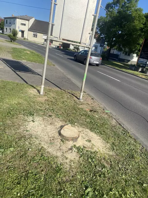 Entlang der Hauptstraße in Horitschon wurden im Zuge eines Sondertransports für den Windparkbau mehrere Bäume gefällt. | Foto: Grüne