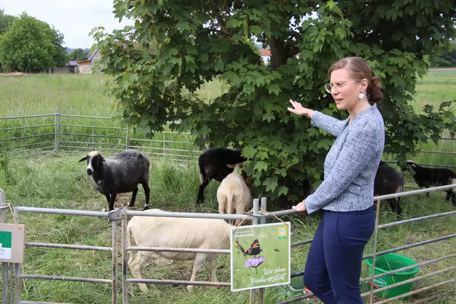 Landeshauptmann-Stellvertreterin Anja Haider-Wallner informierte sich über die Beweidung von Streuobstwiesen durch Schafe. | Foto: Martin Wurglits