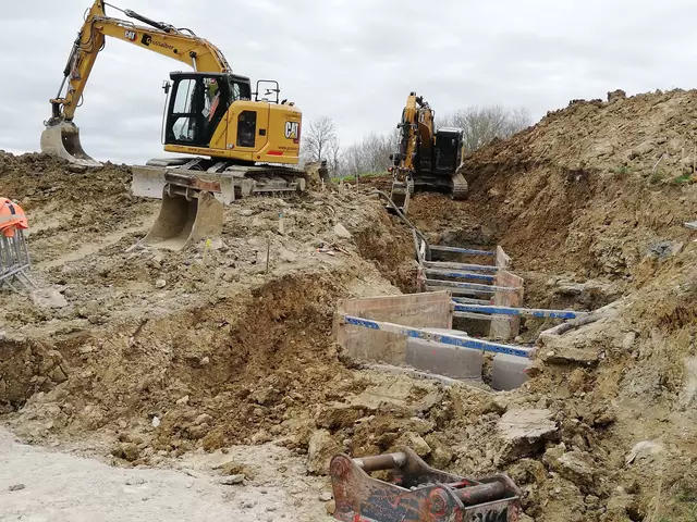 Im Jahr 2020 wurde in der Stadtgemeinde Scheibbs eine neue Wohnhausanlage errichtet und es wurden Straßenbauarbeiten durchgeführt. Deshalb wurden 14 Mostbirnbäume abgeholzt. | Foto: Rudolf Zellhofer