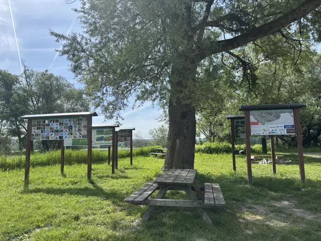 Rasten und informieren: Schautafeln am Donauradweg in Dornach. | Foto: Meinbezirk Perg/Köck