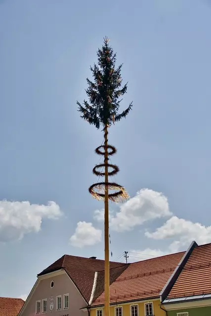 Der Mai steht vor der Tür und damit vielerorts auch das traditionelle Maibaumaufstellen. | Foto: MeinBezirk